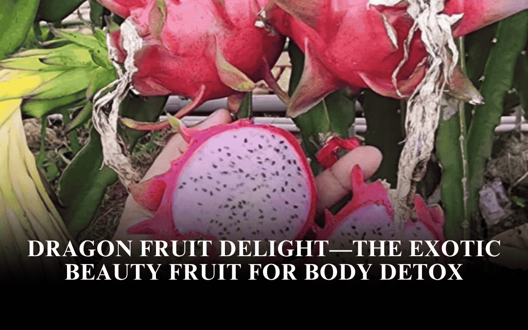 Dragon Fruit Delight—The Exotic Beauty Fruit for Body Detox